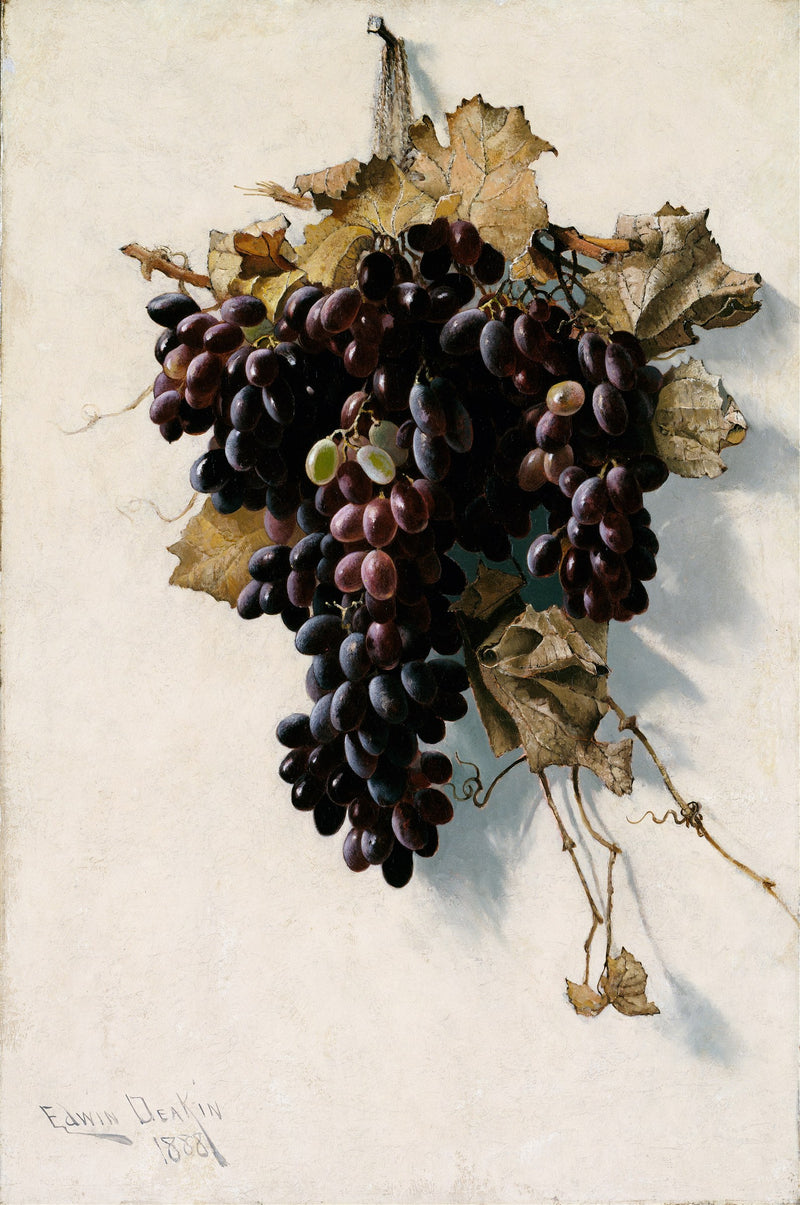 Still Life with Grapes by Edwin Deakin