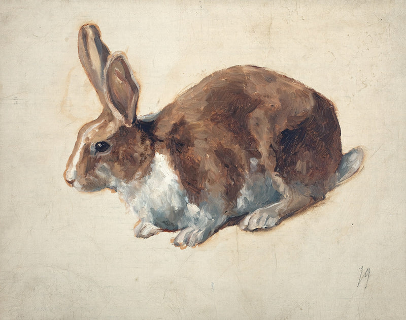 Rabbit by Floris Verster