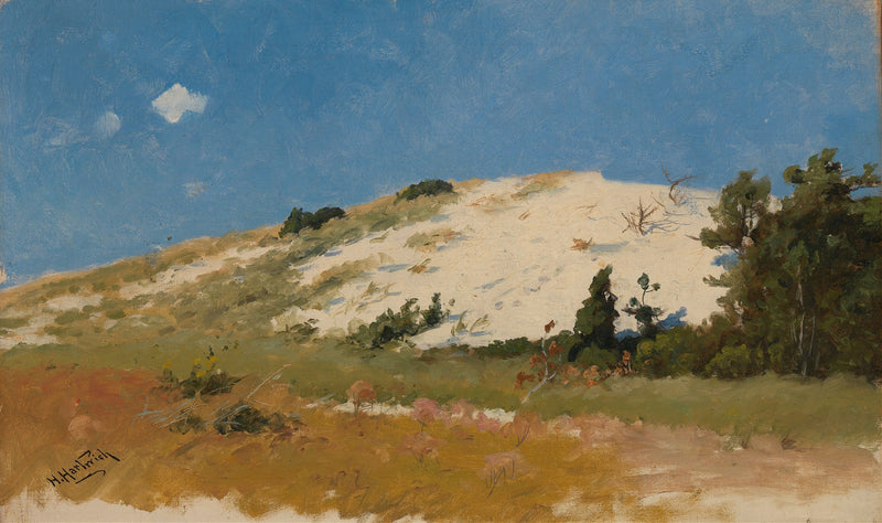 Cape Cod, Sand Dune by Herman Hartwich
