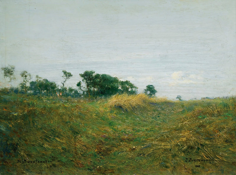 Path Through The Grass by Ivan Pavlovich Pokhitonov