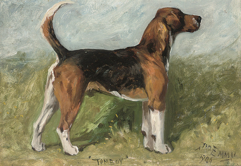 Tomboy, a beagle in a landscape by John Emms