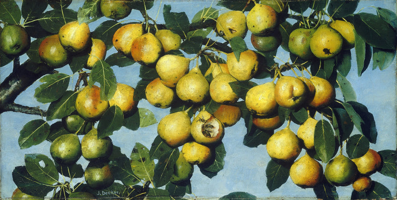 Ripening Pears by Joseph Decker