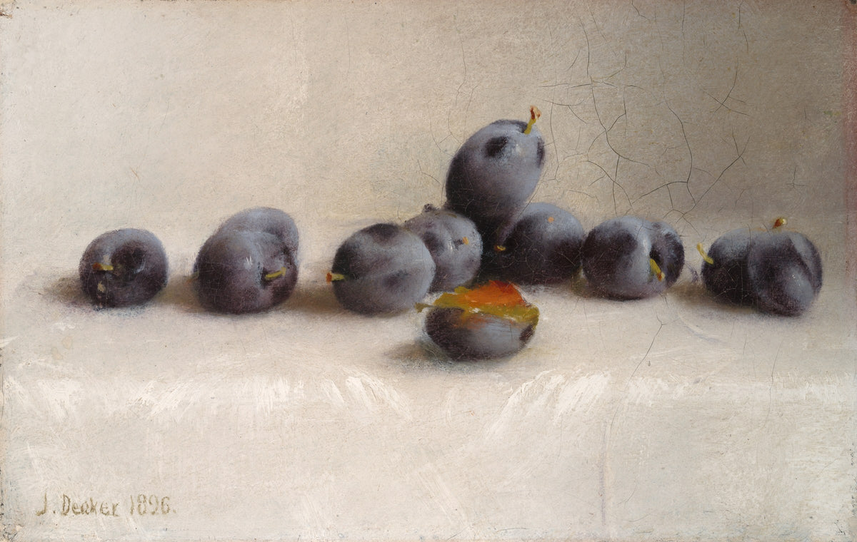 Twelve Plums by Joseph Decker