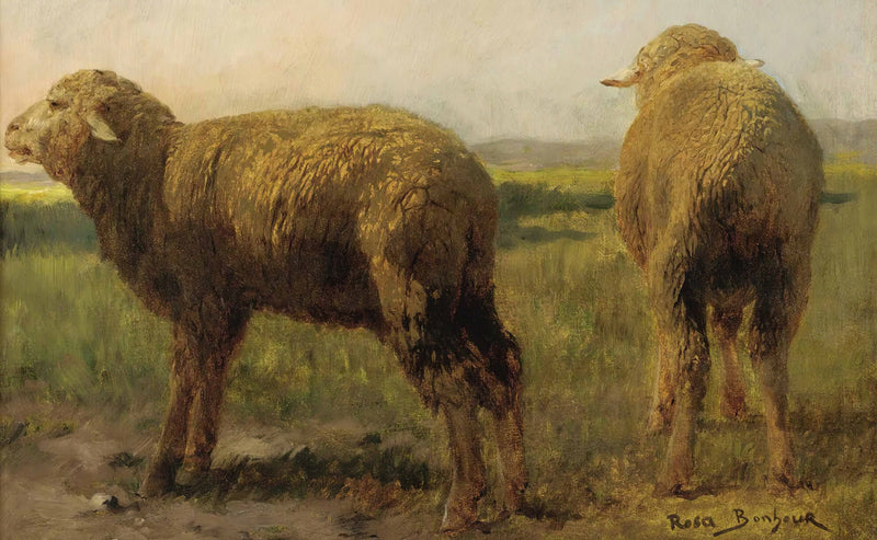 Sheep In A Meadow by Rosa Bonheur