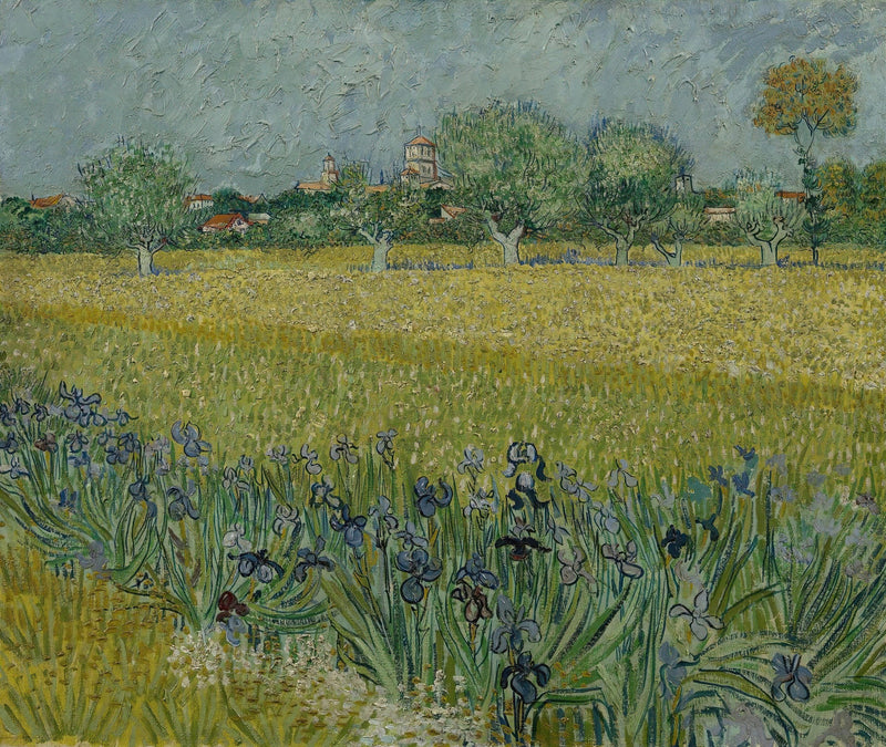 View of Arles with Irises by Vincent van Gogh